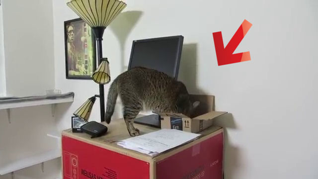idee strane chat gratis romania idee strane chat gratis romania