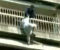 Guarda video Persone fortunate