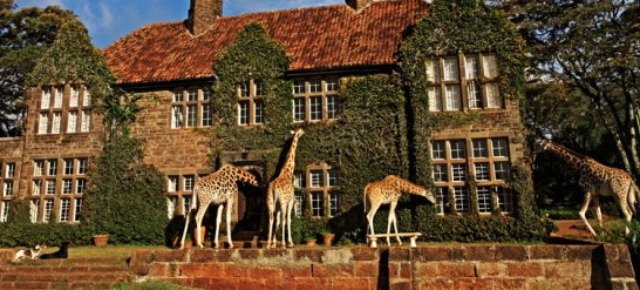 Giraffe Manor