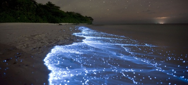 Mare di stelle, Isola di Vadhoo - Maldive