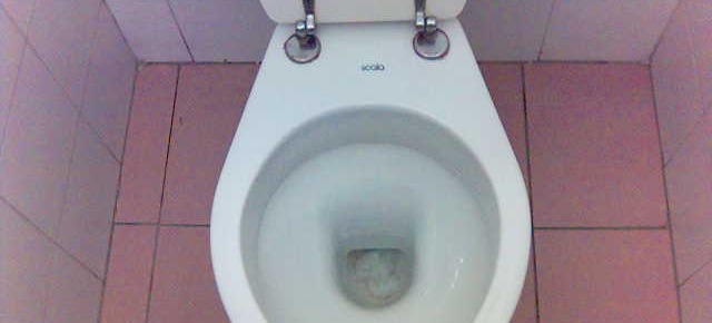 Intasare il WC altrui