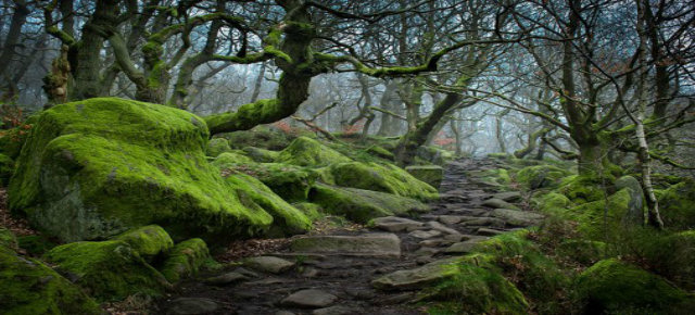 Padley Gorge, Regno Unito