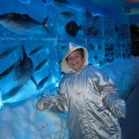 Il primo acquario congelato