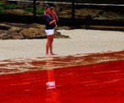 Australia: mare rosso sangue
