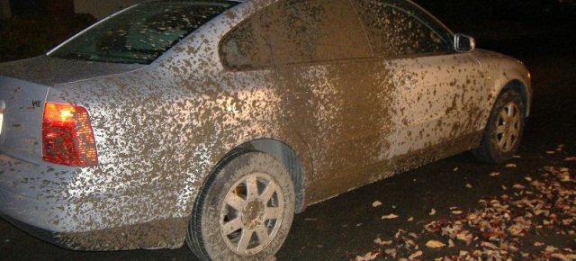 Auto troppo sporca causa un incidente