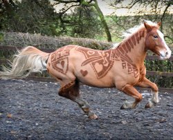 Artista trasforma cavalli in opere d'arte