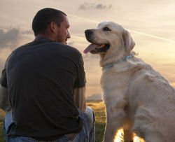 Padroni che non puliscono le cacche dei propri cani