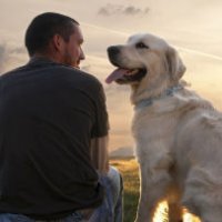 Padroni che non puliscono le cacche dei propri cani
