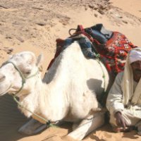 Qual è il piatto più colossale del mondo?