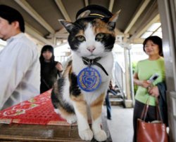 In Giappone un gatto diventa capostazione