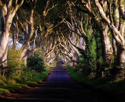 Paesaggio incantato in Irlanda del nord