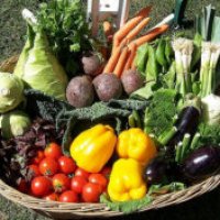 Forte fobia per le verdure