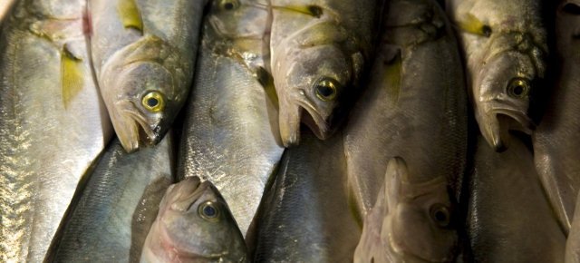 Puzza di pesce marcio per una malattia