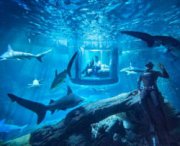 Dormire tra gli squali dell'acquario di Parigi