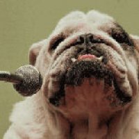 Un cane a testimoniare