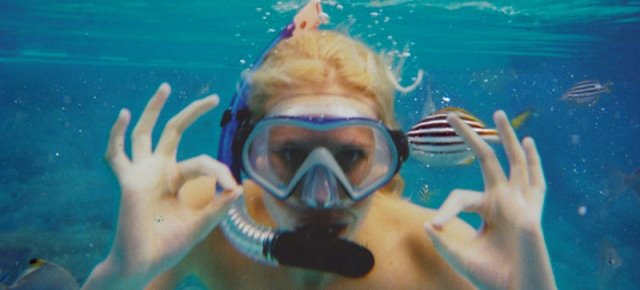 Finge una lunga vacanza ma non esce di casa