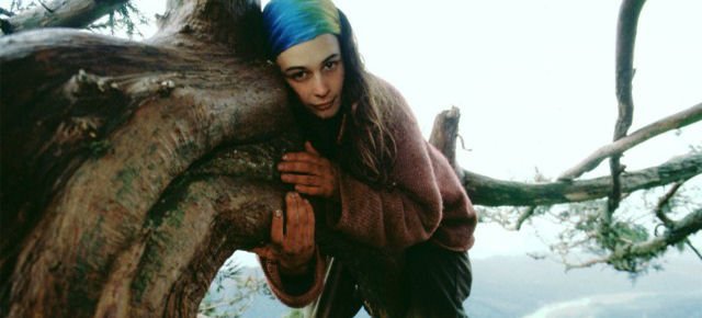Julia, la donna che ha vissuto due anni su un albero