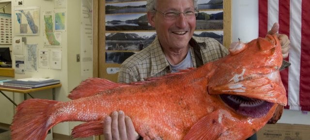 In Alaska pescato un pesce di 200 anni