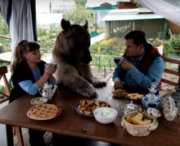 Famiglia russa vive con un orso in casa