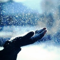 Evade ma ci ripensa per il troppo freddo