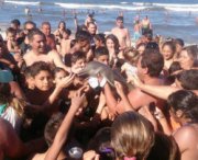 Piccolo delfino ucciso dai selfie dei turisti