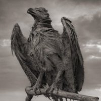 Il lago che trasforma gli animali in statue