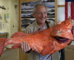 Alaska: pescato un pesce di 200 anni