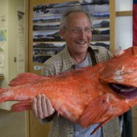 Alaska: pescato un pesce di 200 anni
