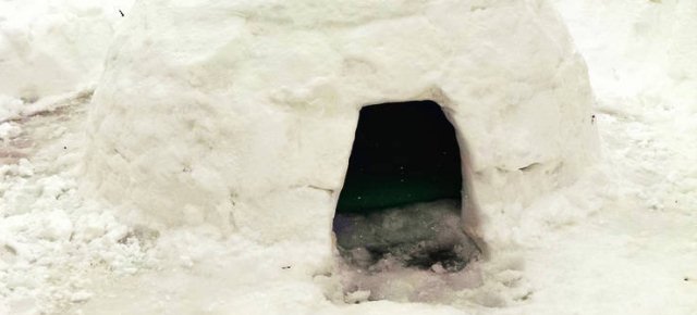 Costruisce un igloo in giardino e lo affitta