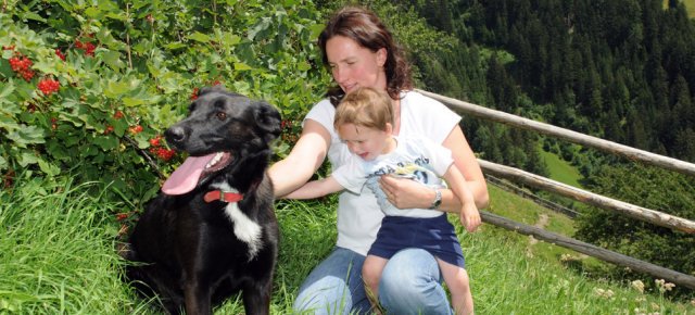 Accarezzare un cane rafforza la salute