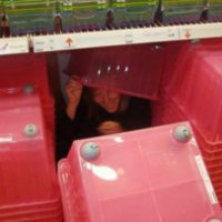 Ikea olandese vieta il nascondino