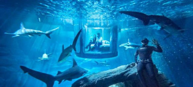 Dormire tra gli squali dell'acquario di Parigi