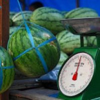 Pesa le sue tette con la frutta