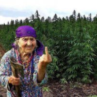 La marijuana è una cura efficace per l'ansia