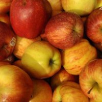 In arrivo le mele frizzanti