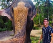 Elefante ruba fotocamera e scatta un selfie