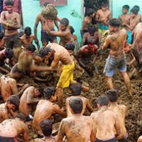 La battaglia del letame in India