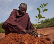 L'uomo che ha fermato il deserto