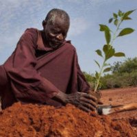 L'uomo che ha fermato il deserto