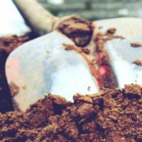 La gara di scavi per becchini