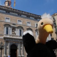 L'agenzia viaggi per animali di peluche
