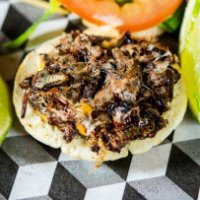 Novità culinaria: l'hamburger con insetti