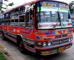 Pannolini per gli autisti degli autobus