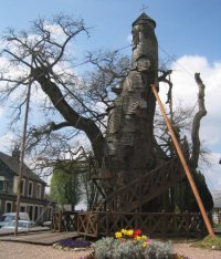 L'incredibile cappella di Oak