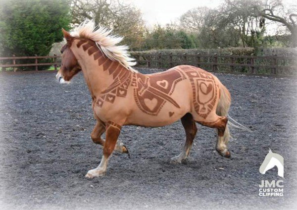 L'artista che trasforma i cavalli in opere d'arte 2