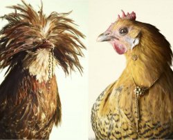 Galline usate come modelle per gioielli