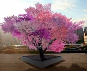 Crea un albero che produce 40 frutti