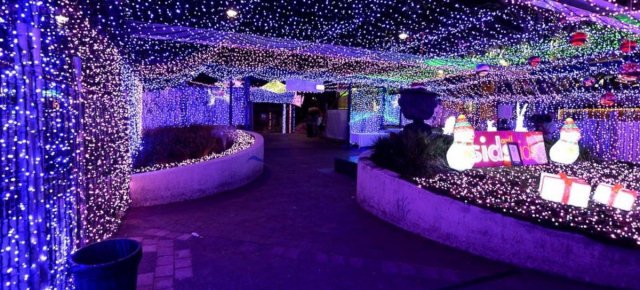 La casa con più luci di Natale al mondo
