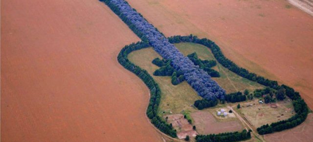 Pianta una foresta a forma di chitarra