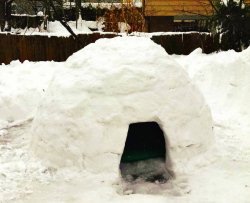 Costruisce un igloo in giardino e lo affitta